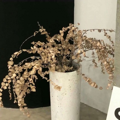 兽设性格设定技巧兽圈社群